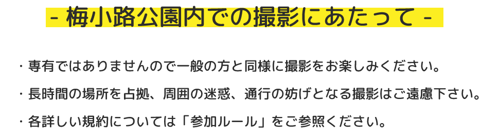 梅小路公園