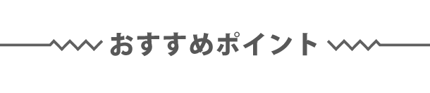 おすすめポイント