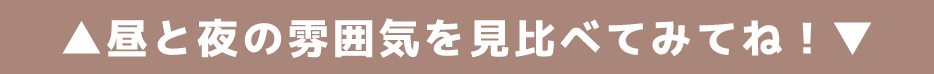 ▲昼と夜の雰囲気を見比べてみてね！▼
