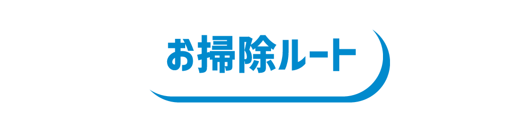ピカ02