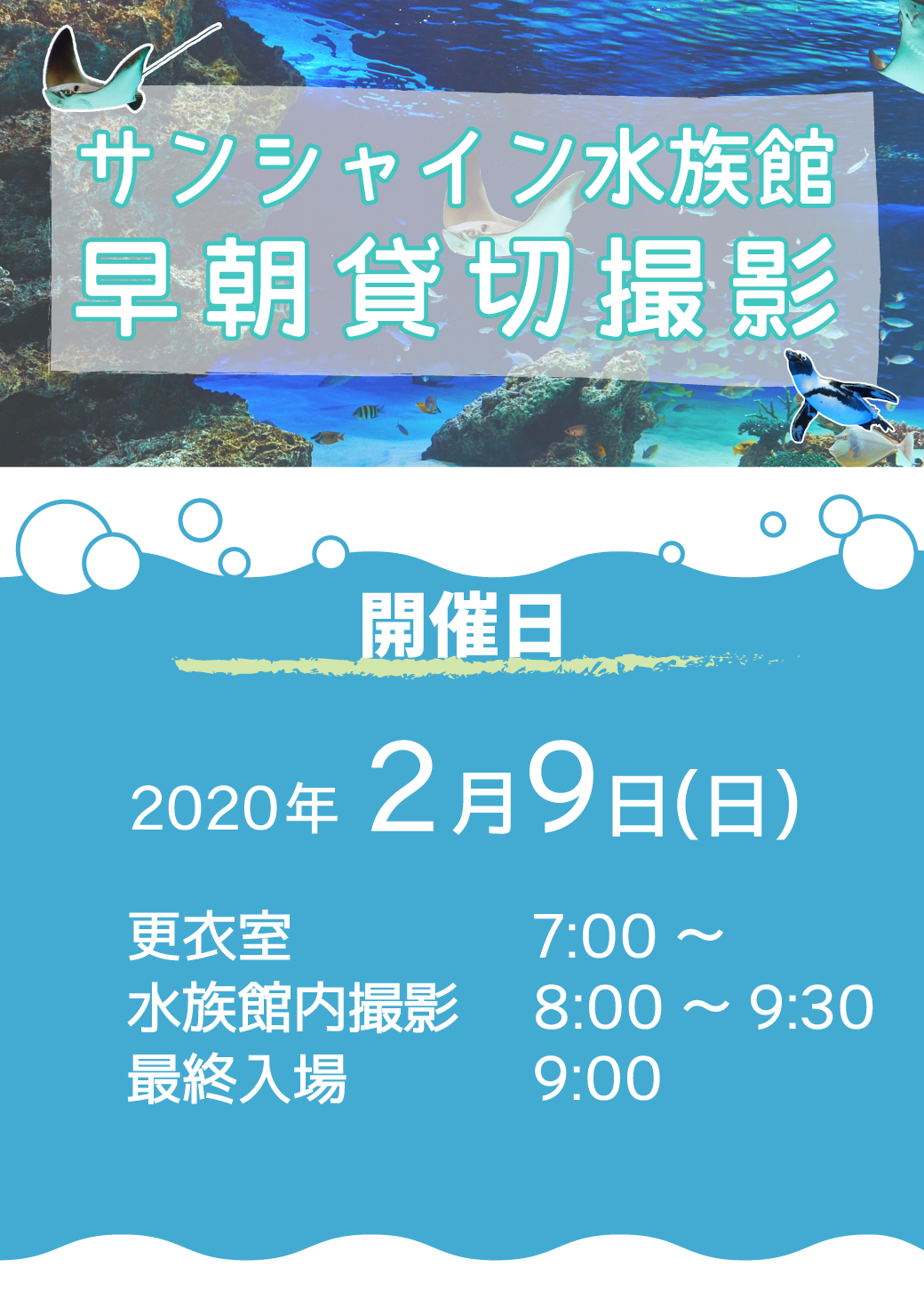 早朝水族館撮影