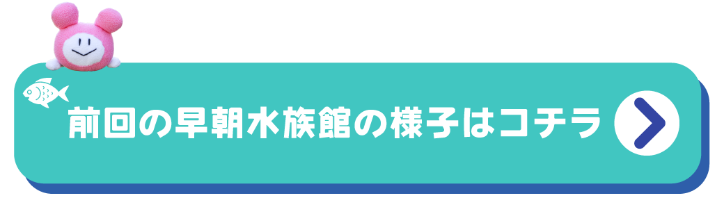 前回の様子