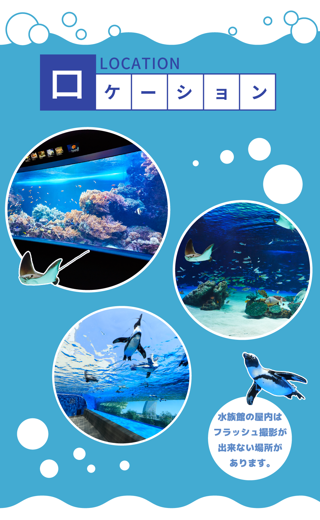 早朝水族館撮影ロケーション