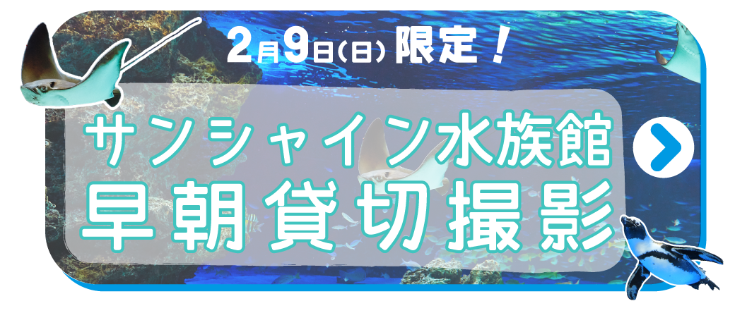 特別開催