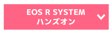 カメラ展示