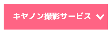 定点