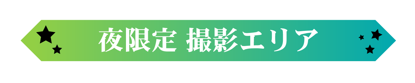 夜のアコスタ限定撮影エリア