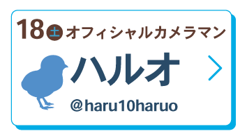 ハルオ