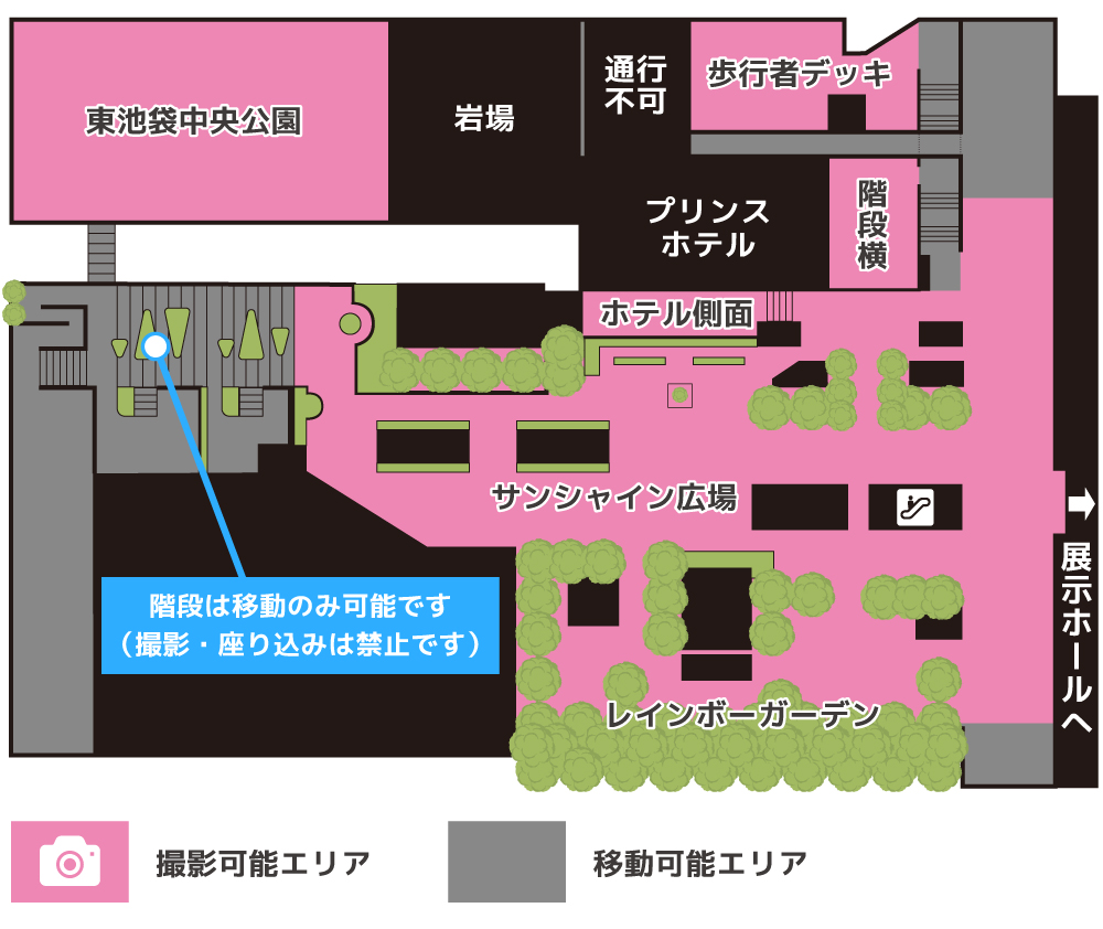 屋外撮影エリア