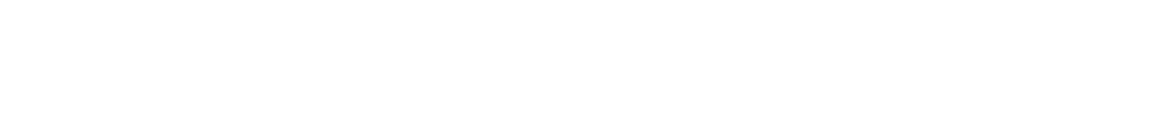 カメサ詳細