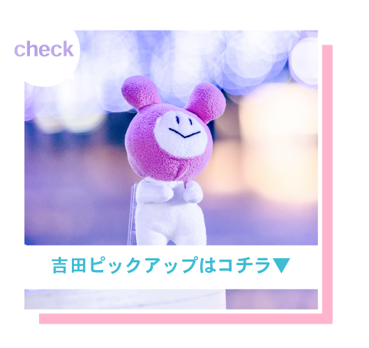 吉田ピックアップ
