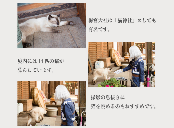 8月24日（日）初開催！コスプレイベントacosta!＠京都梅宮大社