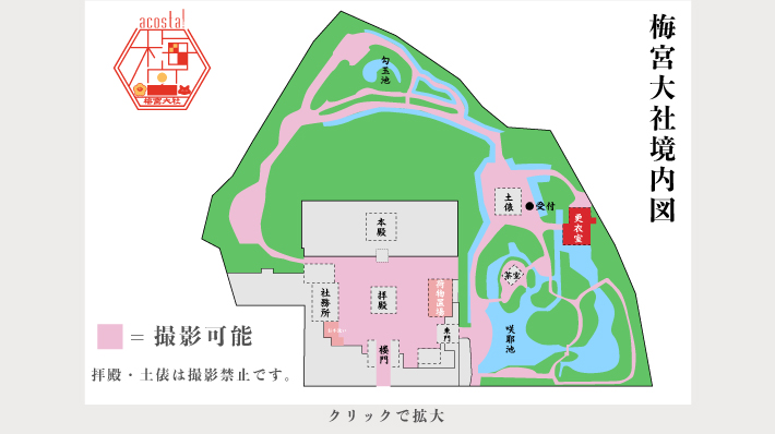 8月24日（日）初開催！コスプレイベントacosta!＠京都梅宮大社
