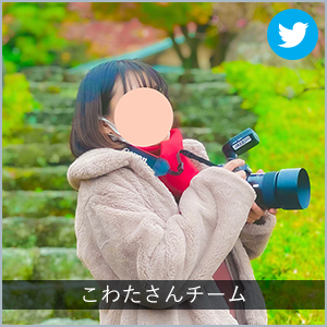 こわたさんチーム
