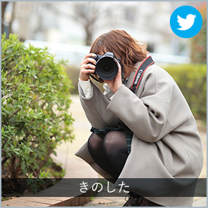 きのした