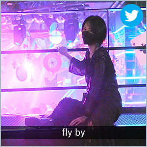 fly by