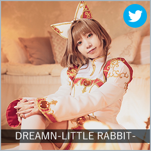 DREAMN-LITTLE RABBIT-