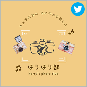 はりはり部
