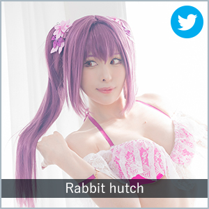 Rabbit hutch