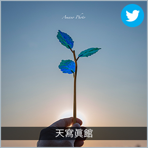 天寫眞館