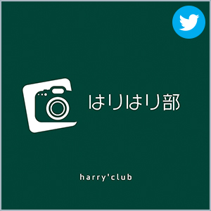 はりはり部
