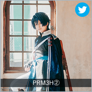 PRM3H②