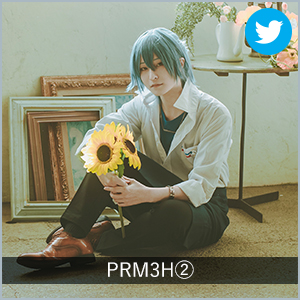 PRM3H②