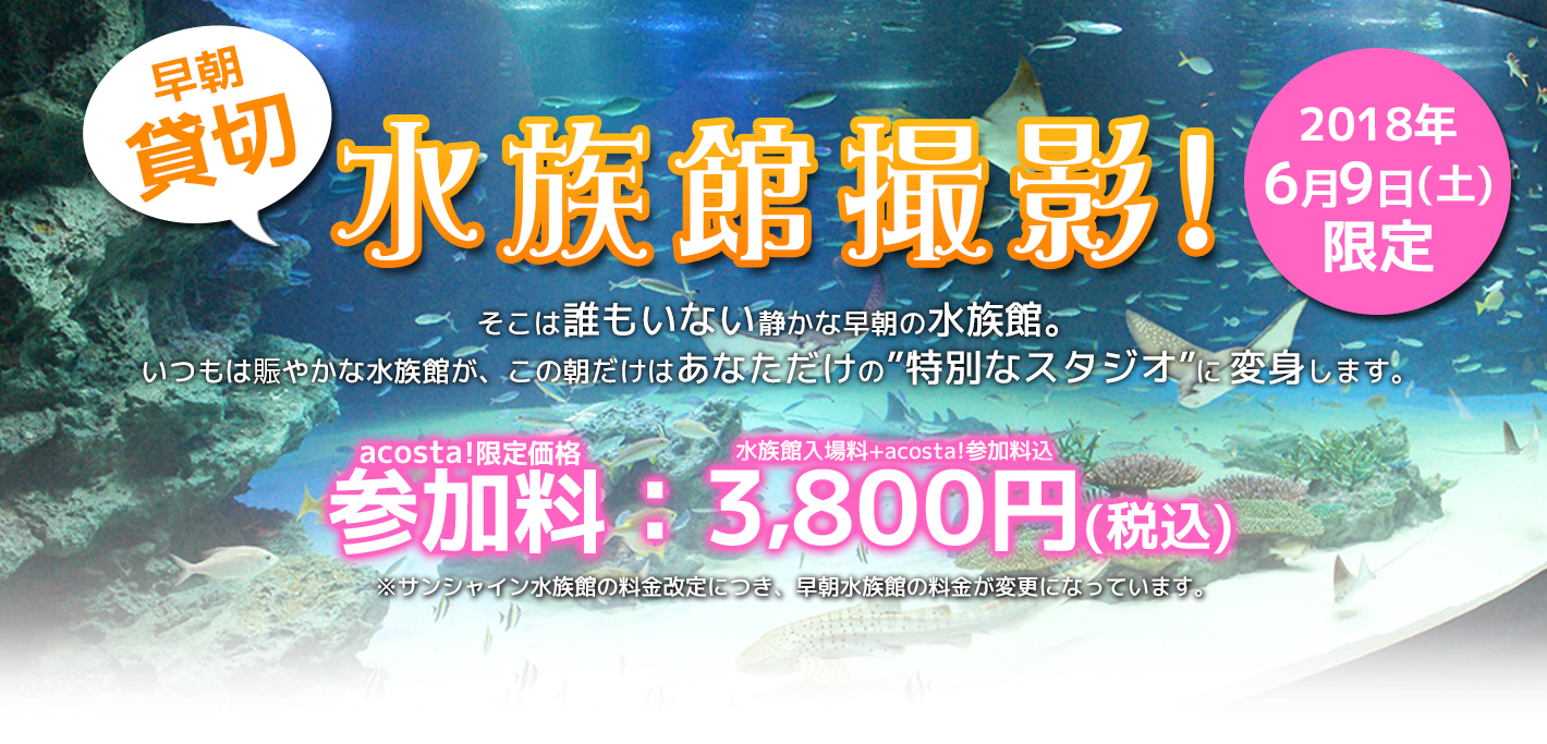 早朝水族館撮影