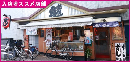 すし処 銀座鮨(11)